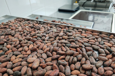 Chocolatier for a day: raw bean to bar chocolate in Modica