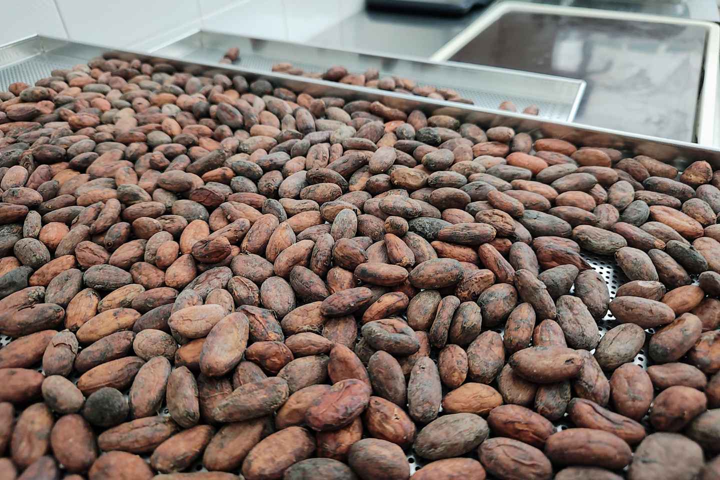 Become a chocolatier for a day!