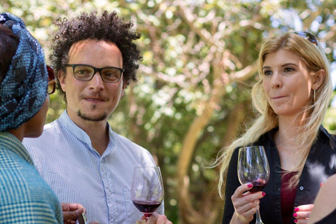 Kaapstad: hop-on-bus &amp; wijnproeverij bij Groot ConstantiaKaapstad: Hop-On Bus &amp; Wijnproeverij bij Groot Constantia