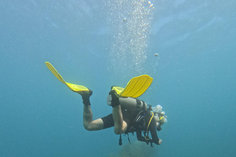 Santa Marta: Discover Scuba Diving at a Private Beach ️