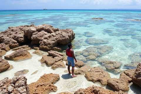 Zanzibar: Safari Blue dagvullende tour met lunch en transfer