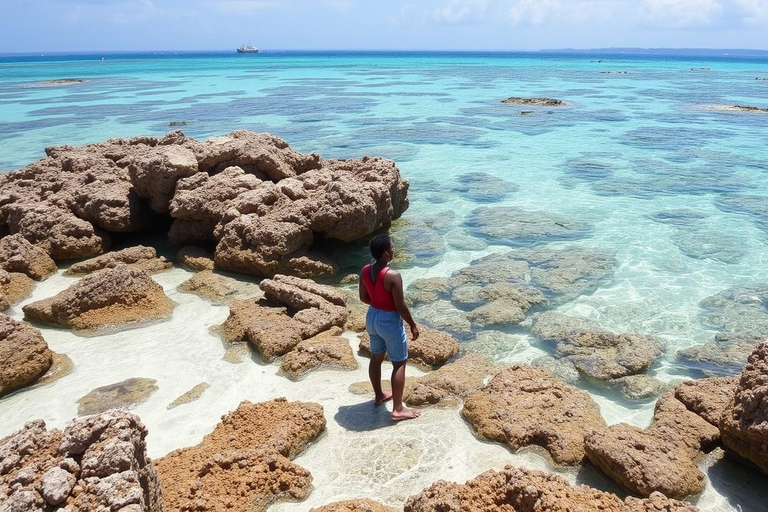 Zanzibar : Safari Blue visite d&#039;une jounée avec déjeuner et transfert