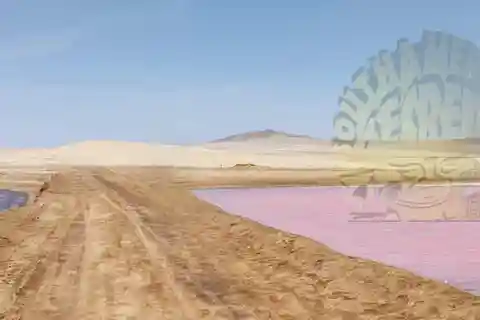 Paracas:Passeios Privados Reserva Nacional de Paracas tudo incluído