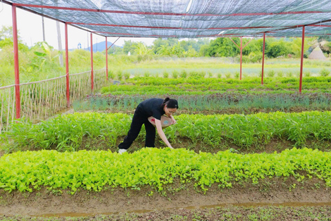 Hue Cooking Class- From market to table experience