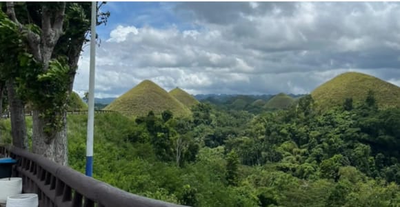 Bohol: Guided Tour with Loboc Cruise & Tarsier Sanctuary
