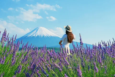 Tóquio: Excursão aos destaques do Fuji - 5.ª Estação e Lago Yamanaka