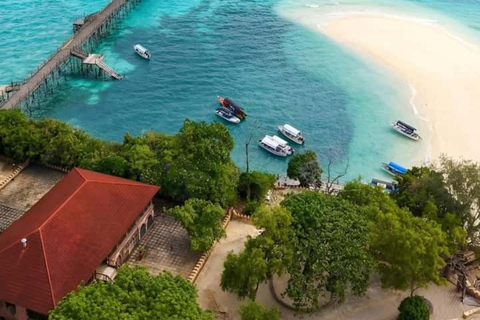 Sea Turtles Cave Conservation swimming & Prison Island Tour SEA TURTLES AND PRISON ISLAND