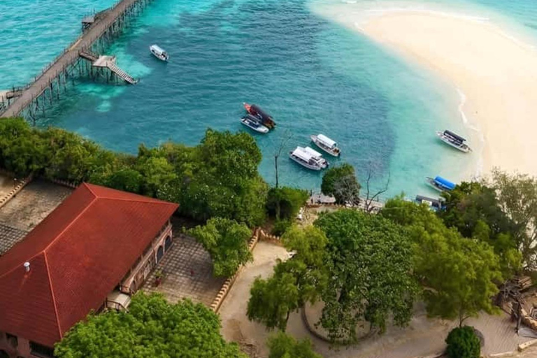 Sea Turtles Cave Conservation swimming & Prison Island Tour SEA TURTLES AND PRISON ISLAND