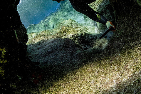 Naxos: Private Fishing Boat Trip with Fresh Onboard Meal