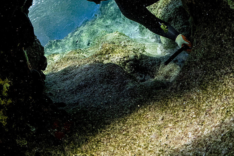 Naxos: Private Fishing Boat Trip with Fresh Onboard Meal