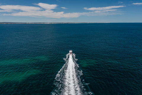 Perth: 2-Day Pinnacles, Sea Lions, and Seafood Tour