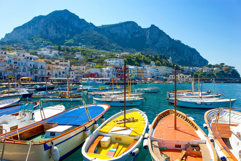 Da Napoli: Tour completo di Capri in barca e autobus