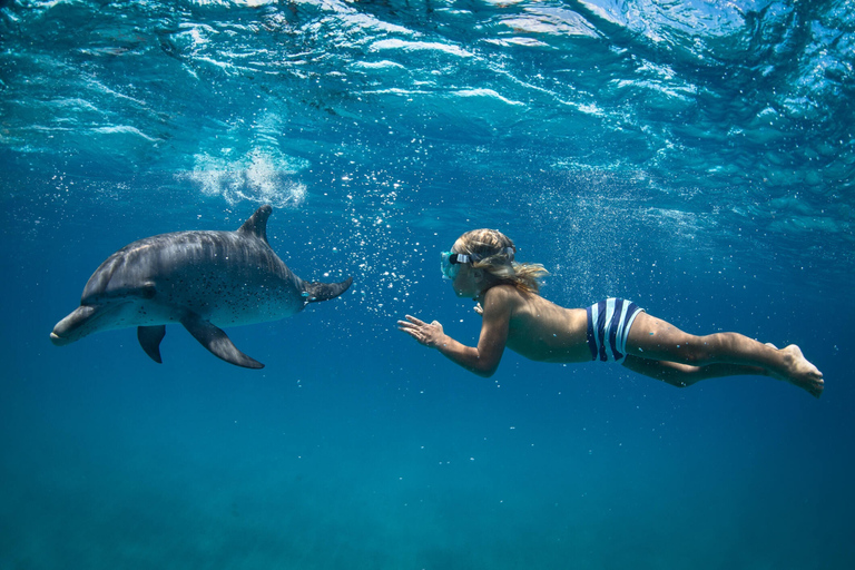 Hurghada: Excursión en barco a la Casa de los Delfines con snorkel