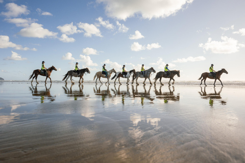 Muriwai Beach 2-Hour Horse Trek Experience
