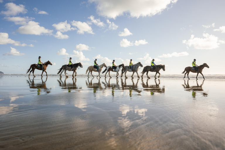 Muriwai Beach 2-Hour Horse Trek Experience