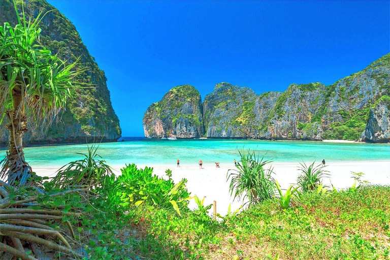 Viagem Premium saindo de Phuket: Phi Phi, Maya Bay e Ilhas Khai