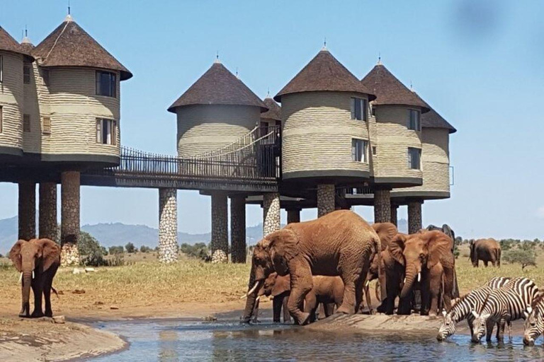 Desde Mombasa:safari de 5 días por Tsavo Este, Oeste y Saltlick Lodge