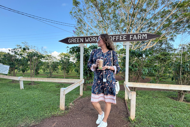 Oahu: Half-Day North Shore Scenic Tour