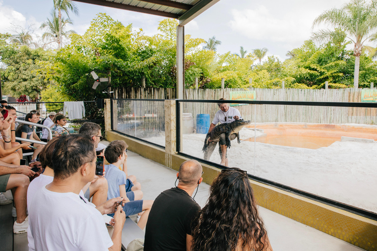 Homestead: Everglades Alligator Farm Entry and Airboat Ride