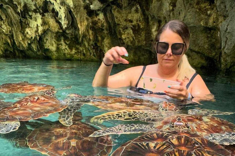 Zanzibar: Spice Farm, Jozani Forest & Salaam Cave Tour Private Tour with Hotel Transfer