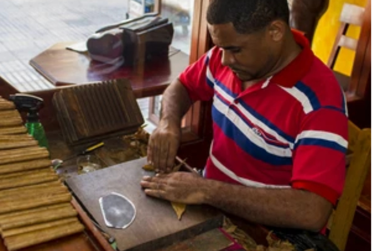 Punta Cana: Cigar Factory Visit and Local Shopping Tour Punta Cana: Tour of the Cigar Factory