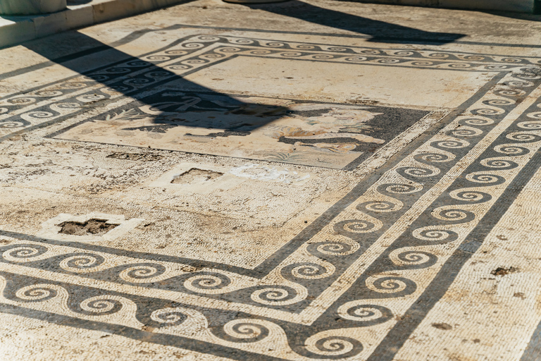 Mykonos Town: Archaeological Site of Delos Guided Day TripTour in Italian