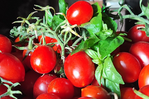 PATH OF THE GODS with NINO Expert local Guide free transport