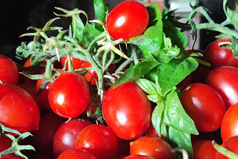 PATH OF THE GODS with NINO Expert local Guide free transport