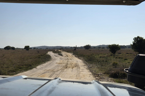 Maputo National Reserve Park Safari Excursion