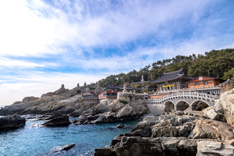 Seoul: Seamless KTX Busan Private Tour Seoul ↔ Busan | Round Trip