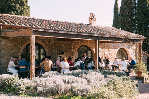 Von Florenz aus: Chianti-Hügel Halbtagestour mit WeinverkostungWeinkeller-Tour auf Englisch