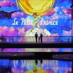 Bordeaux: Bassins des Lumières, biglietto Le Petit Prince