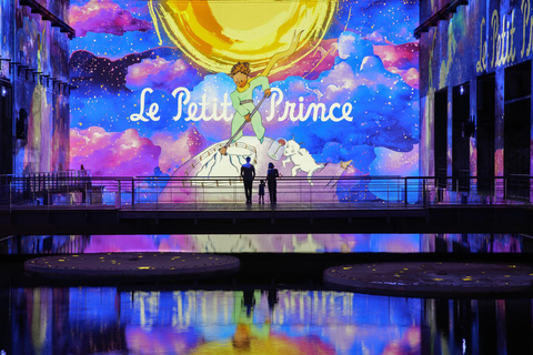 Bordeaux : Bassins des Lumières Billet Le Petit Prince