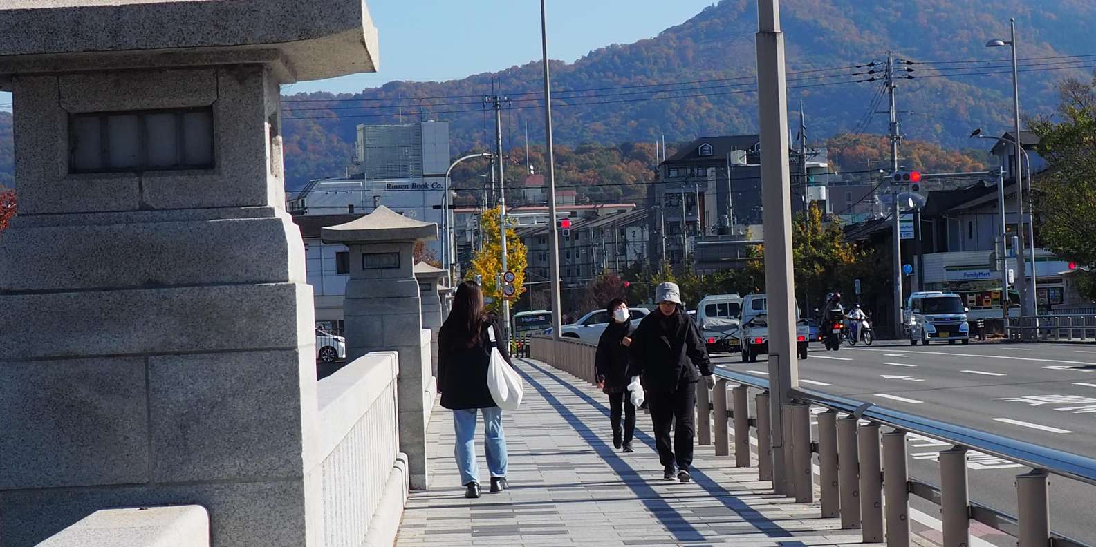 Kyoto experience — temples, geisha, bamboo grove — image 56