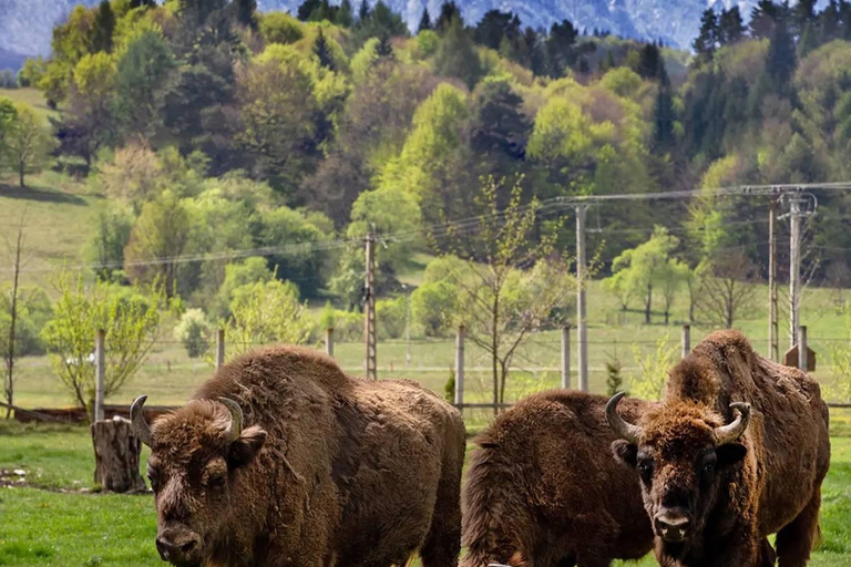 Mud Volcanoes & Trovants, Bison Sanctuary, Waterfall, Lakes.