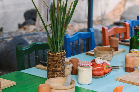 Mojo Workshop and botanical walk