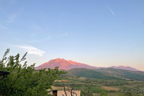 From Berat: Local Winery Tour with Tastings & Snacks