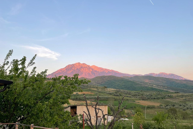 From Berat: Local Winery Tour with Tastings & Snacks