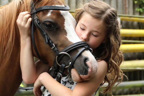 Thessaloniki: Horse Riding Escape with Farm