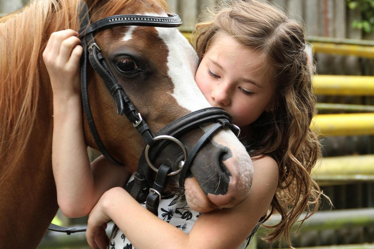 Thessaloniki: Horse Riding Escape with Farm