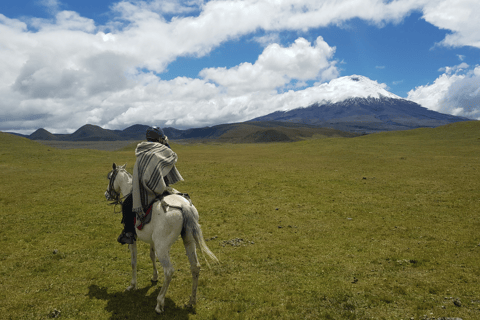 Horseback riding through Cotopaxi National Park in one day 3 hours of Horseback Riding