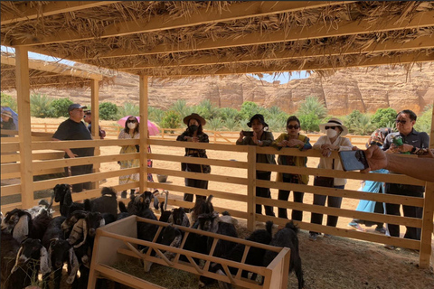 AlUla: Oasis Farm Tour and Traditional Feast with Locals