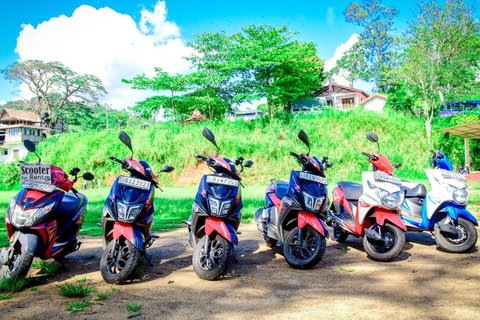 Ella: All Inclusive Day Tour by Scooter