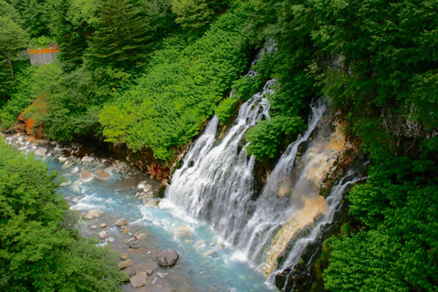 Hokkaido Asahiyama Zoo Tour with Melon Buffet Option Sapporo Tokyu REI Hotel Departure (With Lunch&Melon Buffet)