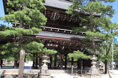 Amanohashidate & Ine Bay Tour With English Speaking Driver