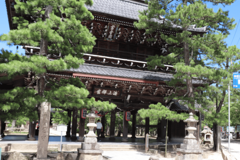 Amanohashidate & Ine Bay Tour With English Speaking Driver