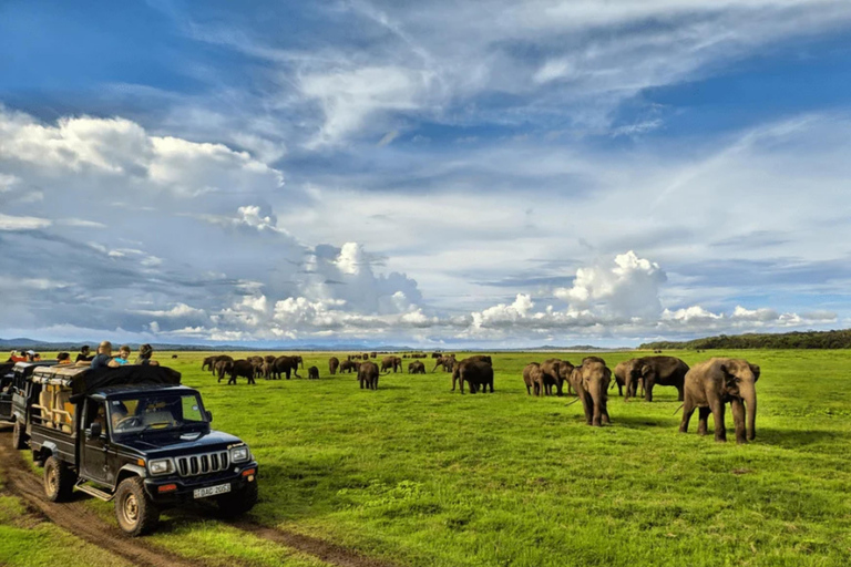 Sigiriya: Kaudulla National Park Safari & Village Tour Pickup from Dambulla and Kandalama