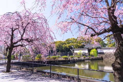 東京皇居東御苑ウォーキングツアー