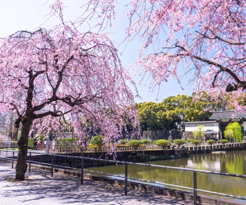 Tokyo: East Garden of the Imperial Palace Walking Tour