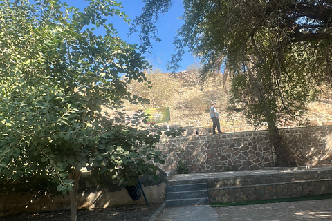 Muscat: Wadi Bani Khalid & Sunset at Wahiba Sands